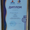 krokusy_diplom (16).jpg